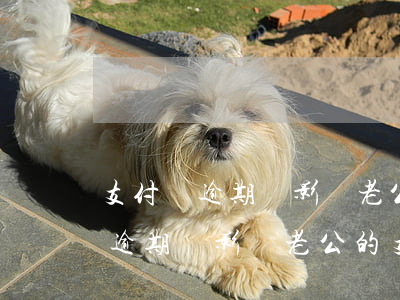 支付寶逾期會影響老公的支付寶嗎-支付寶逾期會影響老公的支付寶嗎知乎