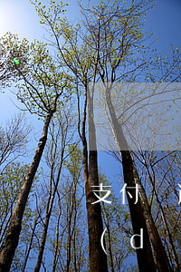 支付寶逾期會影響買車嗎(支付寶逾期了會導(dǎo)致買車分期有影響嗎)