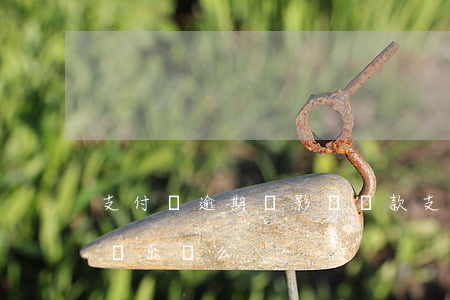 支付寶逾期會影響貸款(支付寶逾期貸款還能貸出來么)