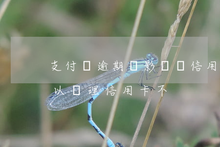 支付寶逾期會影響辦信用卡么(支付寶逾期可以辦理信用卡不)
