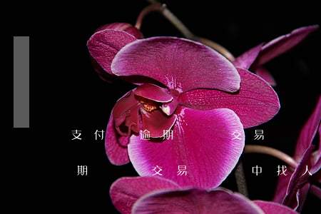 支付寶逾期會從交易記錄中找人-支付寶逾期會從交易記錄中找人催收嗎