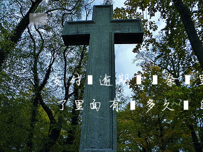 支付寶逾期會從余額里直接扣嗎(支付寶逾期了里面有錢多久會自動扣費)