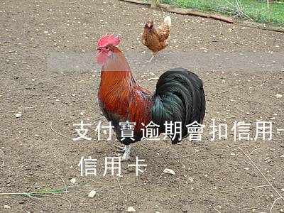 支付寶逾期會扣信用卡(支付寶逾期會不會扣信用卡)