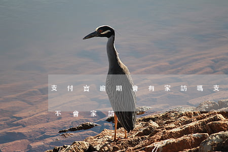 支付寶逾期會有家訪嗎(支付寶欠款一年了會不會家訪)