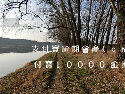 支付寶逾期會產(chǎn)生多少費用（支付寶10000逾期費用）