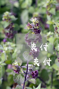 支付寶逾期會申請凍結(jié)銀行賬號(支付寶逾期多久會被凍結(jié)銀行)