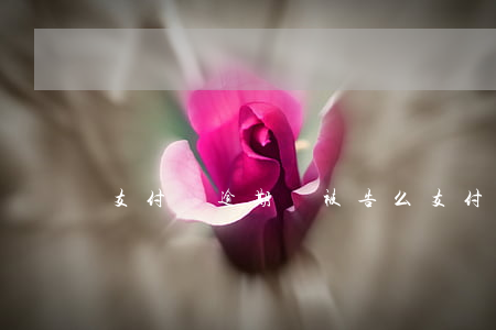 支付寶逾期會被告么（支付寶逾期會判刑嗎）