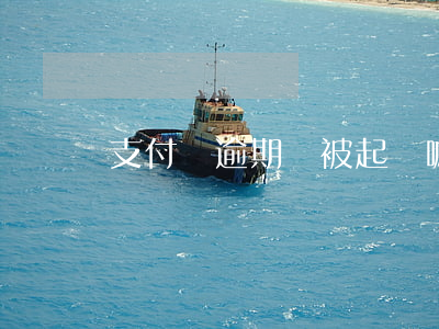 支付寶逾期會被起訴嘛(支付寶逾期一般會起訴嗎)