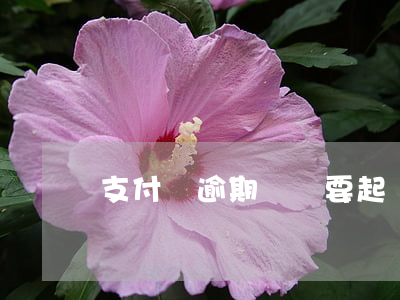 支付寶逾期會說要起訴(支付寶逾期真的會起訴嗎?)