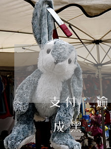 支付寶逾期會變成黑戶嘛(支付寶逾期多久會成黑戶)