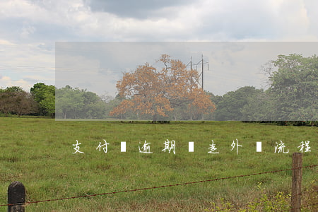 支付寶逾期會走外訪流程嗎(支付寶欠款外訪)