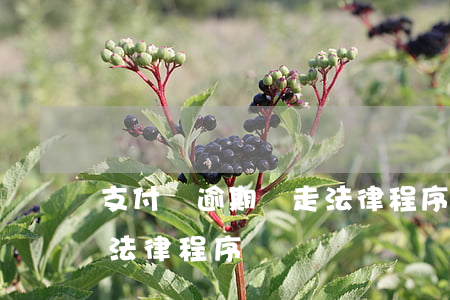 支付寶逾期會走法律程序嗎(支付寶逾期會走法律程序嗎)