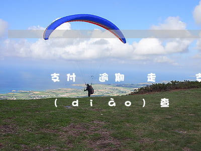 支付寶逾期會走訪嗎（支付寶逾期說讓回家調(diào)查）