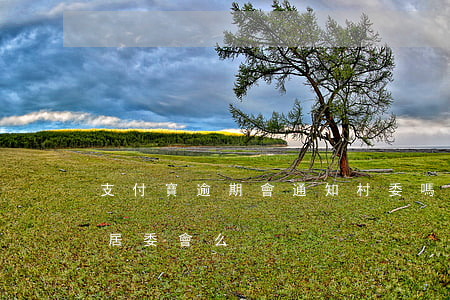 支付寶逾期會通知村委嗎（支付寶逾期會通知居委會么）