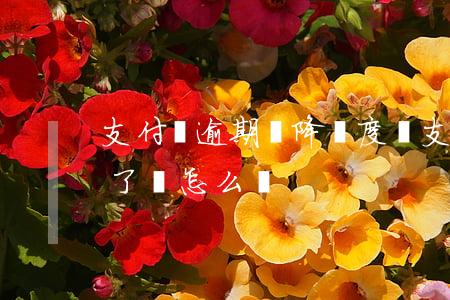 支付寶逾期會降額度嗎(支付寶臨時額度逾期了會怎么樣)