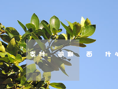 支付寶逾期會面臨什么 支付寶逾期會怎樣?