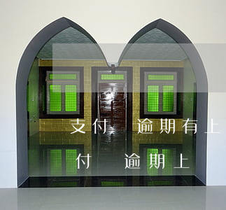 支付寶逾期有上門核實(shí)了的嗎(支付寶逾期上門調(diào)查該怎么辦)