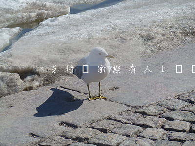 支付寶逾期有人上門沒