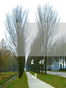 支付寶逾期有人嗎(支付寶逾期會(huì)咋樣)