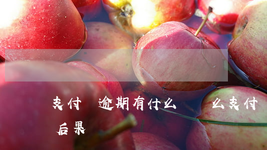 支付寶逾期有什么壞處么(支付寶逾期有什么后果)