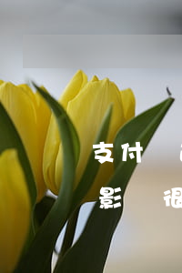支付寶逾期有什么影響么(支付寶逾期是不是影響很大)