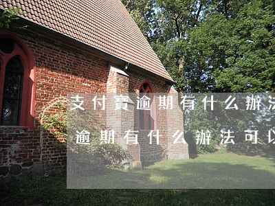 支付寶逾期有什么辦法可以借到錢-支付寶逾期有什么辦法可以借到錢嗎