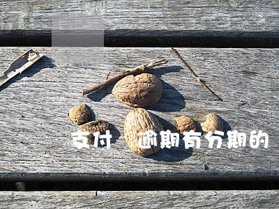 支付寶逾期有分期的嗎