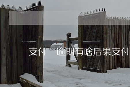 支付寶逾期有啥后果 支付寶逾期影響