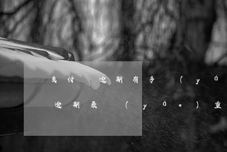 支付寶逾期有多嚴(yán)重嗎-支付寶逾期最嚴(yán)重會怎么樣