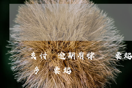 支付寶逾期有律師說要起訴(支付寶逾期兩萬多說要起訴)