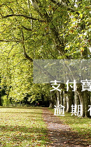 支付寶逾期有必要找第三方處理嗎-支付寶逾期有必要找第三方處理嗎知乎