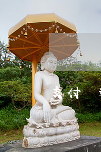 支付寶逾期有快遞來了