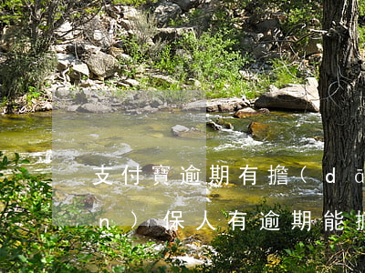 支付寶逾期有擔(dān)保人嗎(擔(dān)保人有逾期能擔(dān)保嗎)