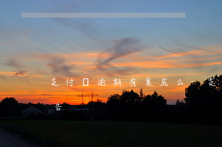 支付寶逾期有案底么-支付寶逾期多久會被告