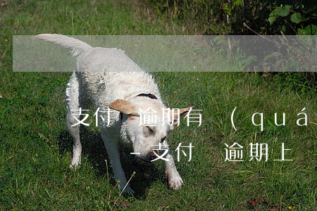 支付寶逾期有權(quán)利拒絕他們上門嗎-支付寶逾期上門可以拒絕嗎