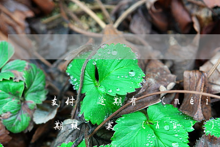 支付寶逾期有沒(méi)有影響（支付寶逾期被備案會(huì)有什么后果）
