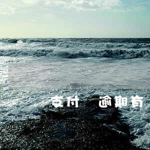 支付寶逾期有滯納金么(支付寶滯納金多少)