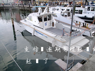 支付寶逾期有被起訴的么(支付寶逾期了說要起訴了)