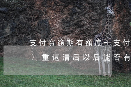 支付寶逾期有額度-支付寶逾期嚴(yán)重還清后以后能否有額度