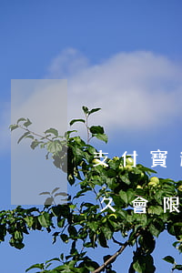 支付寶逾期未還影響坐高鐵嗎(支付寶逾期多久會限制坐高鐵)