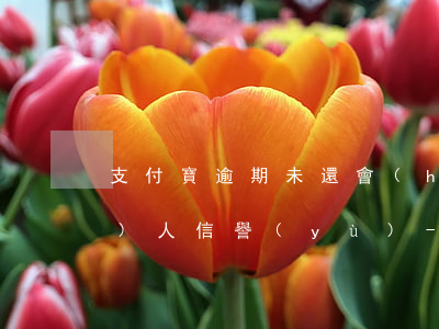 支付寶逾期未還會(huì)影響個(gè)人信譽(yù)-支付寶還款沒還完會(huì)影響信譽(yù)嗎