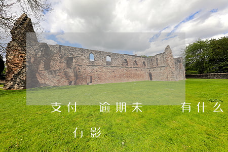 支付寶逾期未還會有什么后果(支付寶逾期有沒有影響)