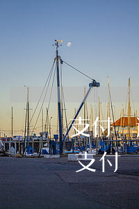 支付寶逾期未還款可以協(xié)商還嗎(支付寶逾期了怎么協(xié)商還款)