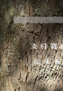 支付寶逾期未還款咋處理(支付寶把逾期的還完未逾期的)