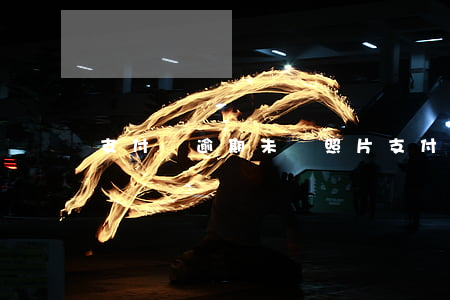 支付寶逾期未還照片 支付寶沒有逾期的圖片