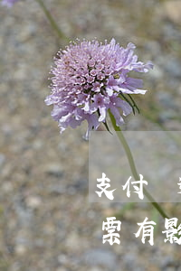 支付寶逾期未還買(mǎi)飛機(jī)票有影響嗎-支付寶逾期未還買(mǎi)飛機(jī)票有影響嗎知乎