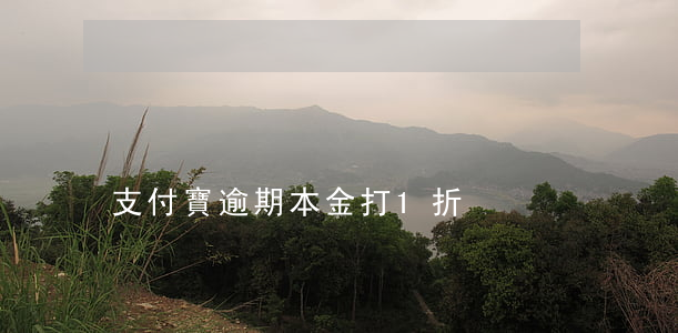 支付寶逾期本金打1折
