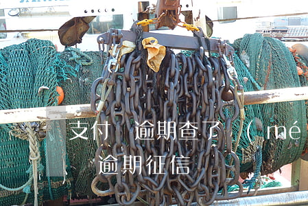 支付寶逾期查了沒(méi)有上征信(支付寶逾期 征信)