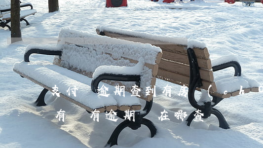 支付寶逾期查到有房產(chǎn)(支付寶有沒有逾期過在哪查)