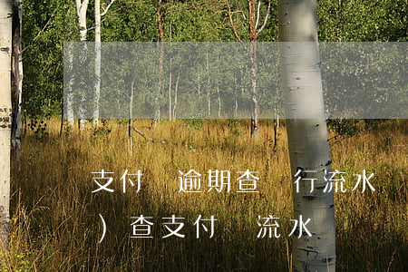支付寶逾期查銀行流水(銀行有權(quán)查支付寶流水嗎)